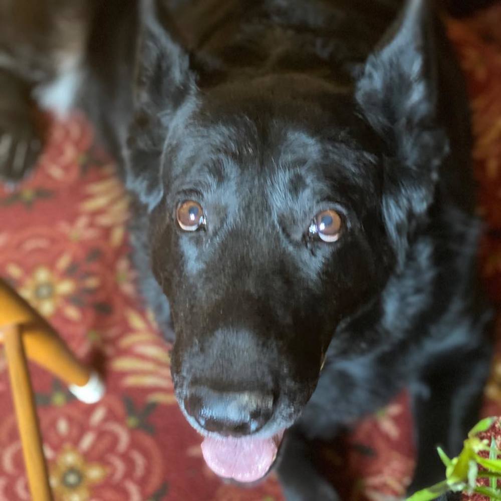 Meet your Posher, Tina